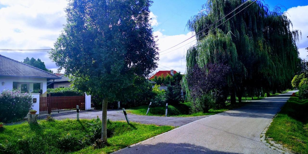 הרצגהאלום Arvalanyhaj Home Apartman מראה חיצוני תמונה